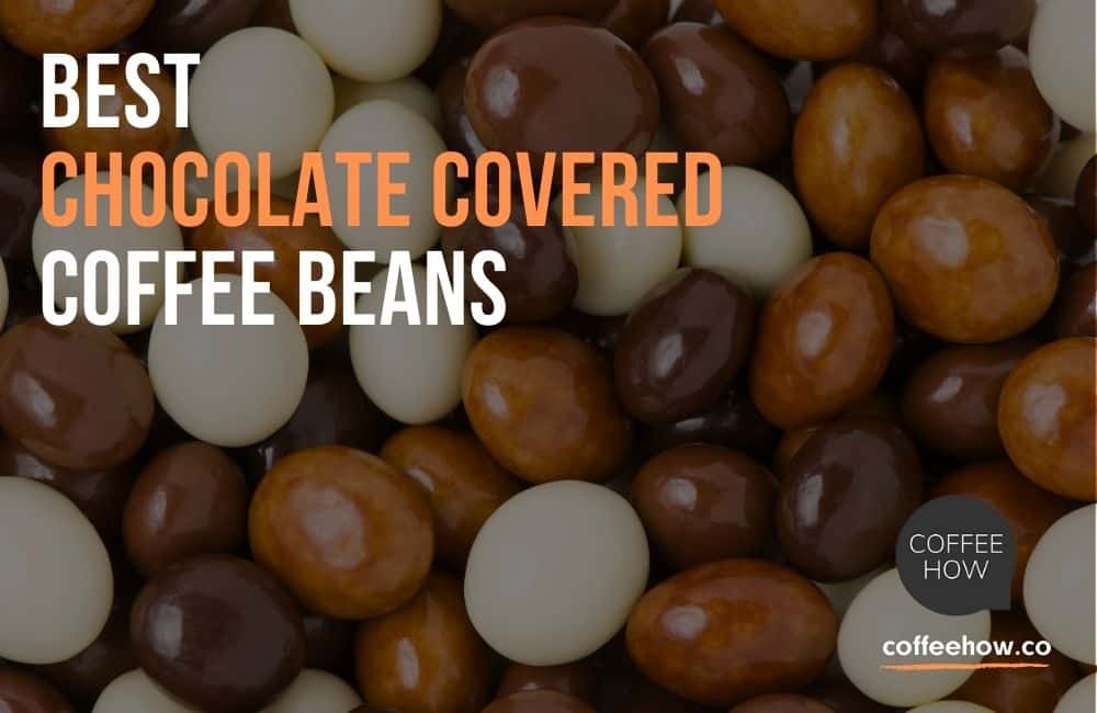 Best Chocolate Covered Coffee Beans - Reviewed