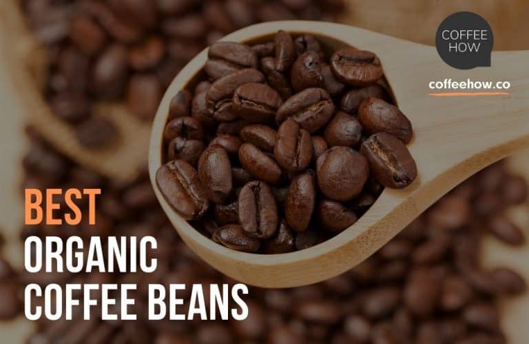 10 Best Organic Coffee Beans Reviewed 2022 - Guide to Certified Organic