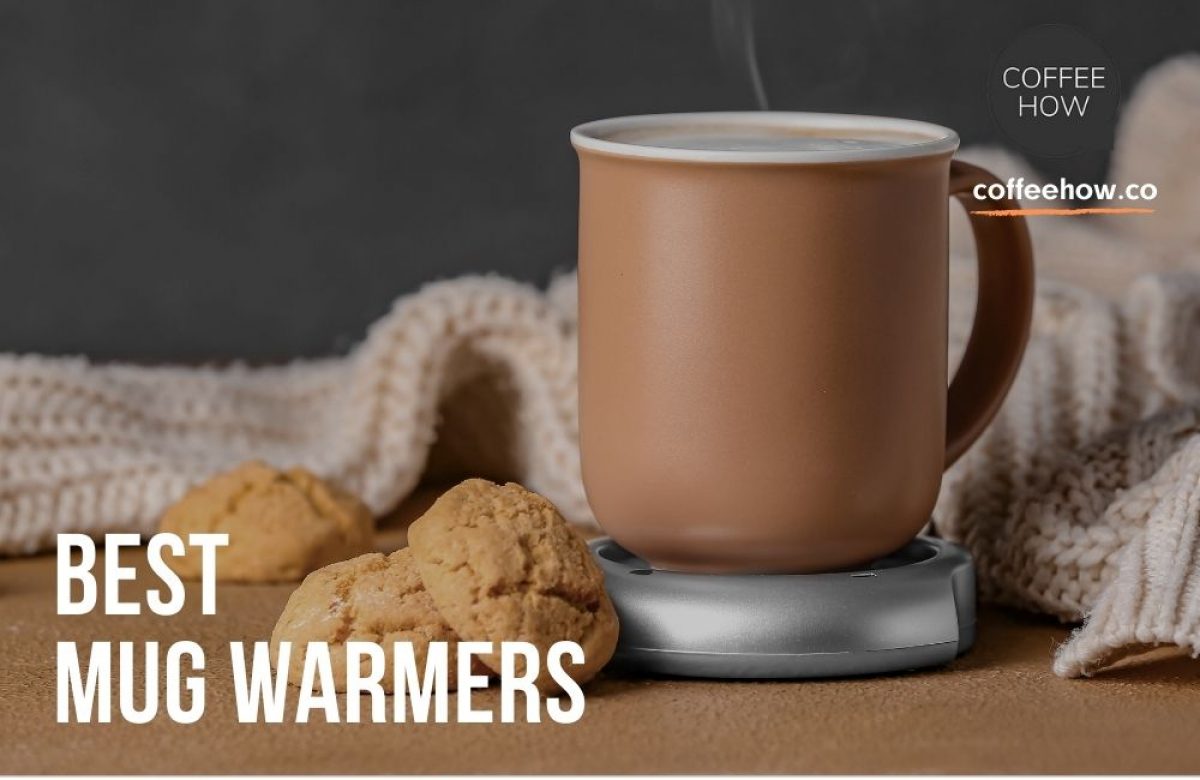 Best Mug Warmers Under $100 To Buy To Keep Your Coffee Or Tea Hot All Day -  8days