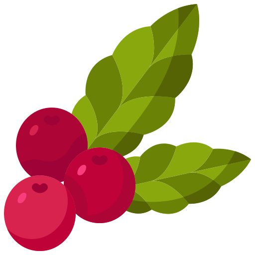 speciality coffee cherries