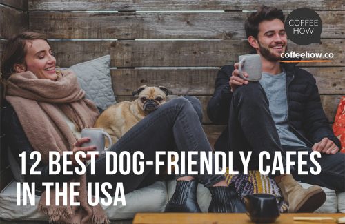 12 Best Dog-friendly Cafes In The USA dog friendly cafes main