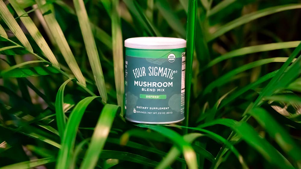 9 Best Mushroom Coffee Brands 2023
