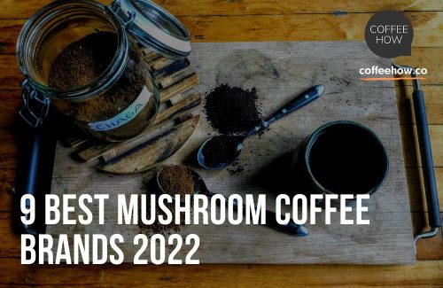 9 Best Mushroom Coffee Brands 2023