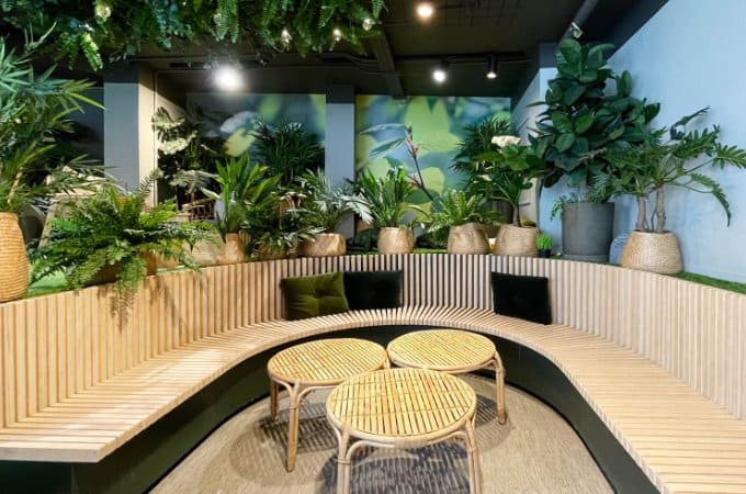 Coffee Bar with Plants