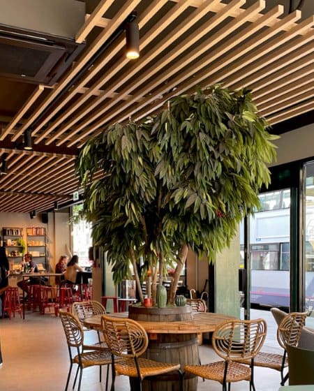 Coffee Bar with Plants 2